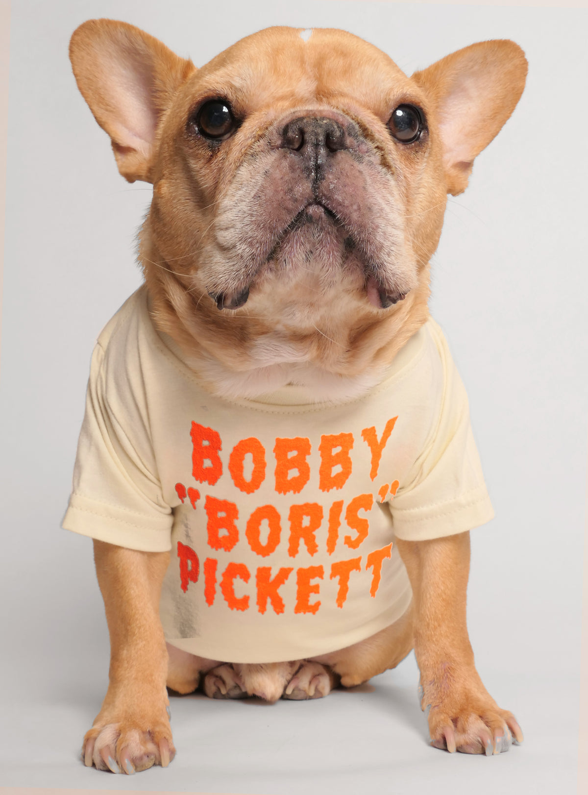 Bobby Boris Picket Dog Tee