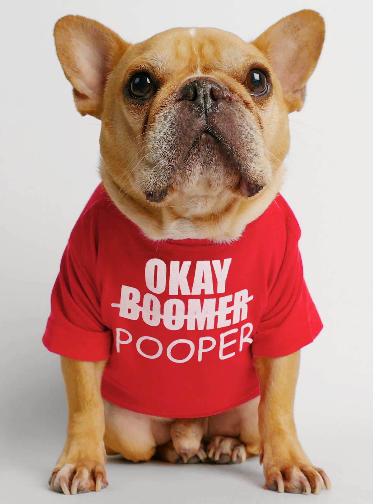 Okay Pooper Dog Tee