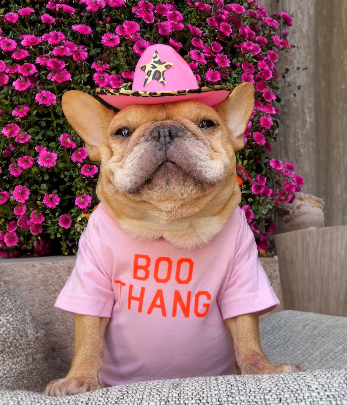 Boo Thang Dog Tee