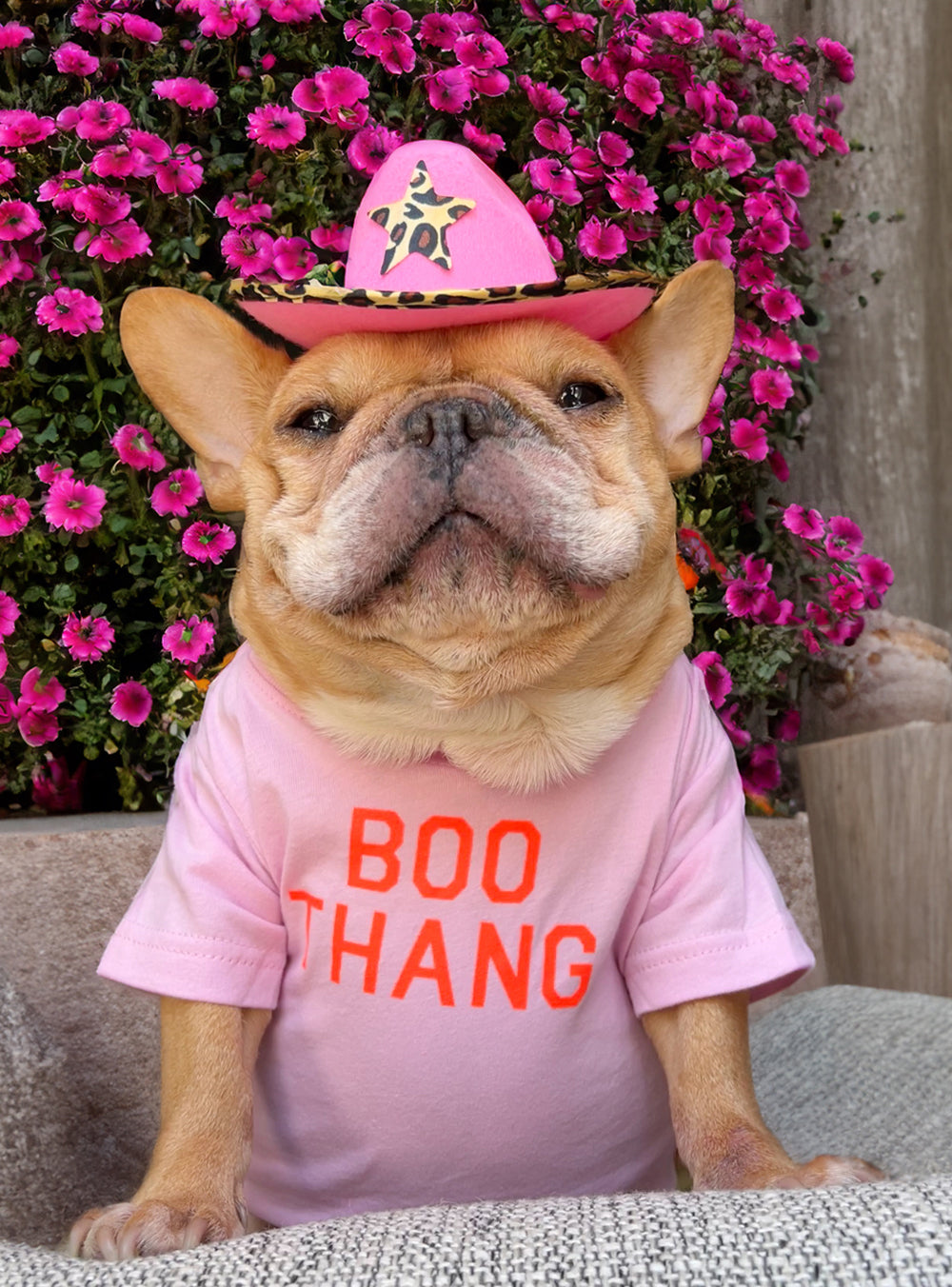 Boo Thang Dog Tee
