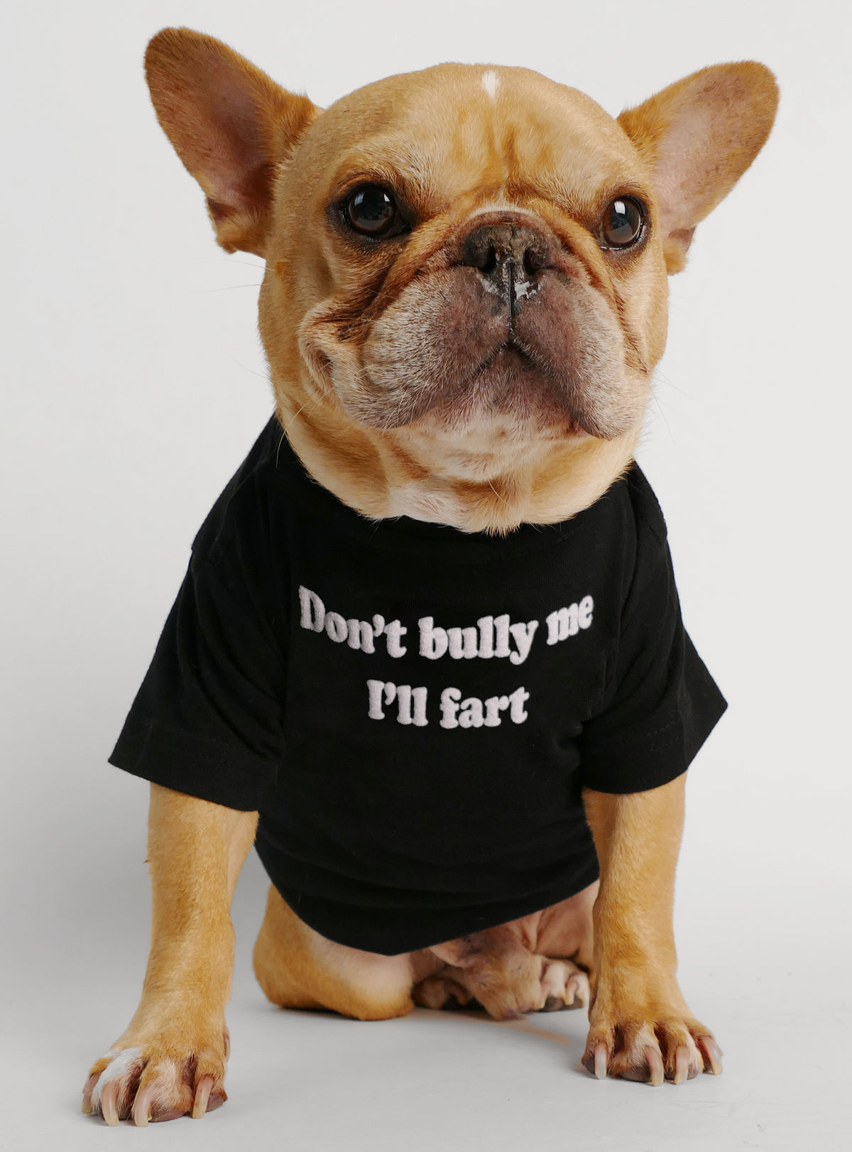 Don&#39;t Bully Me I&#39;ll Fart Dog Tee