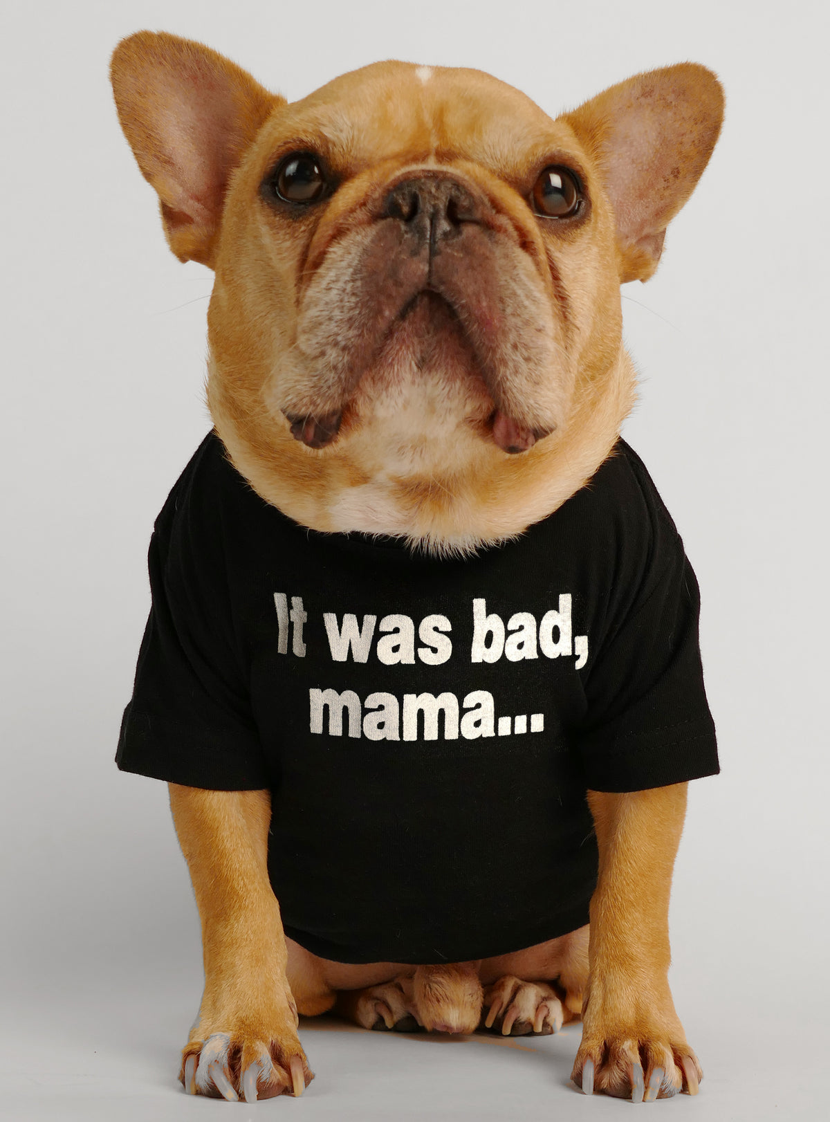 It Was Bad Mama Dog Tee