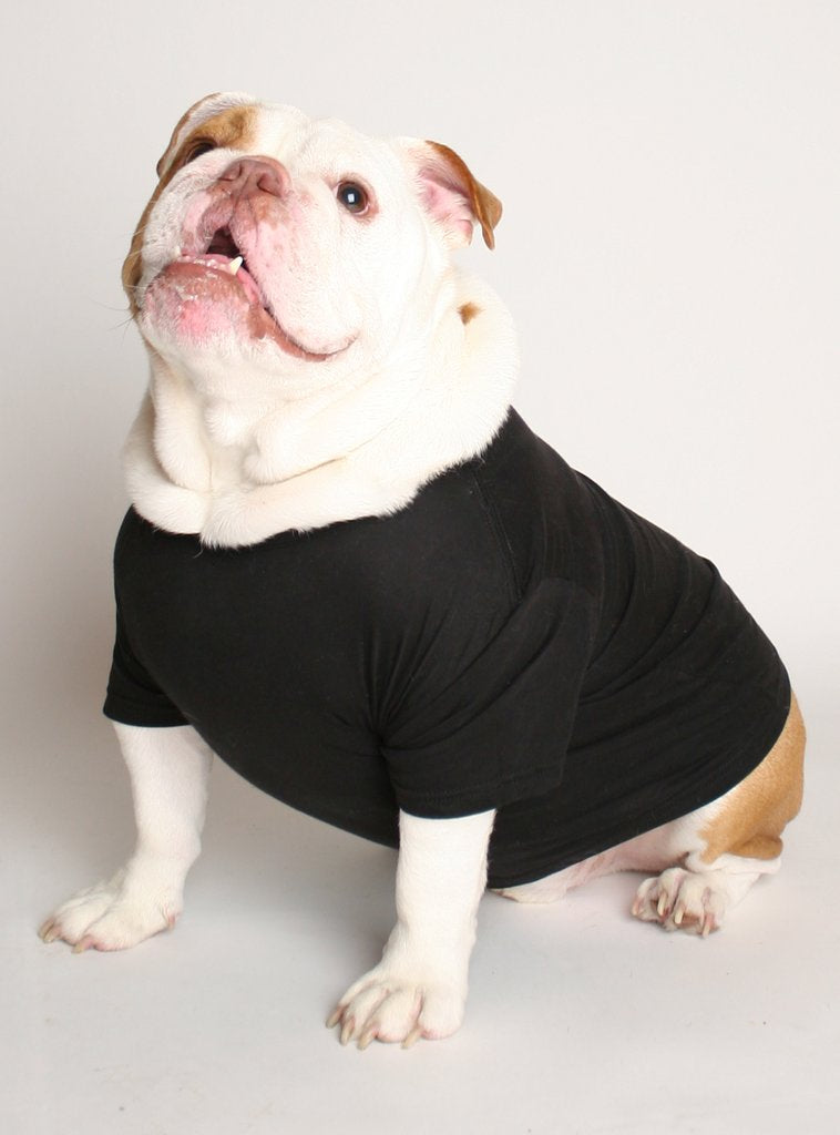 My Mom Is A Cool Mom Dog Tee