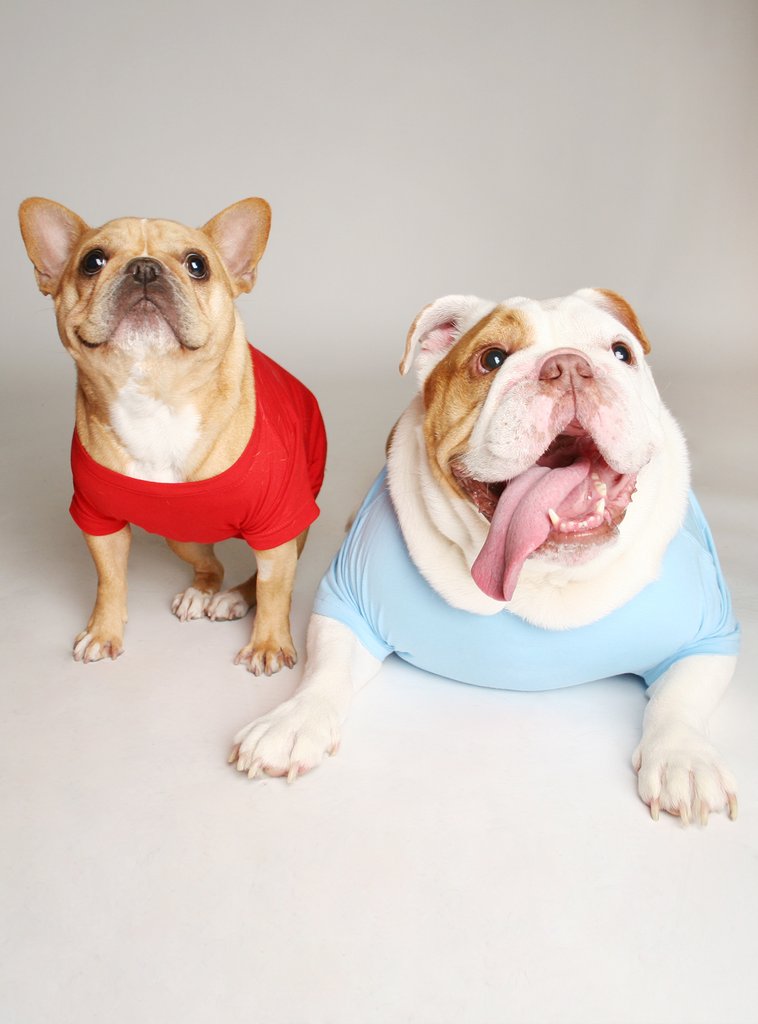 Ho Ho + Holy Sh*t (2-Pack) Dog Tee