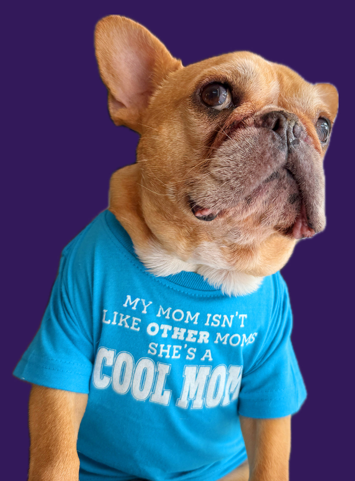 My Mom Is A Cool Mom Dog Tee