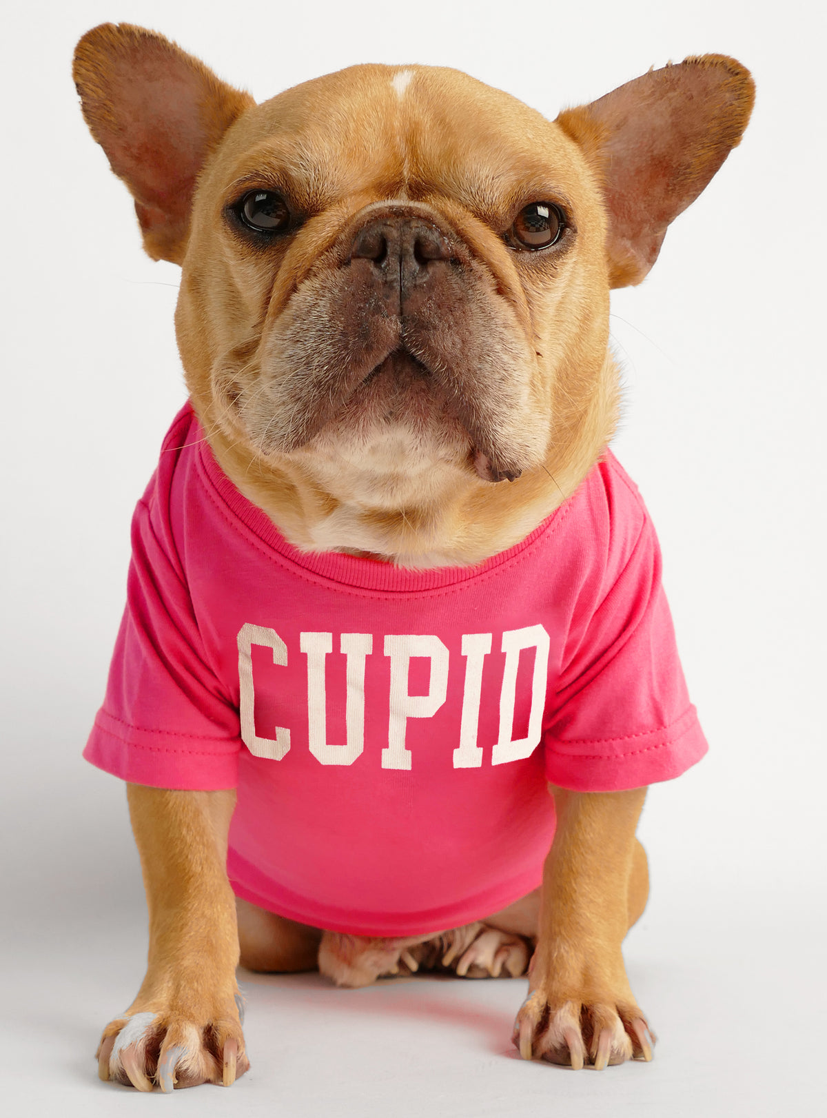 Cupid Dog Tee