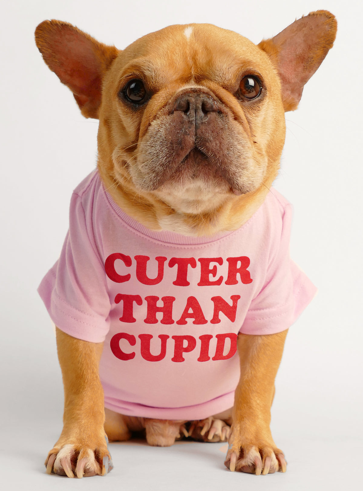 Cuter Than Cupid Dog Tee