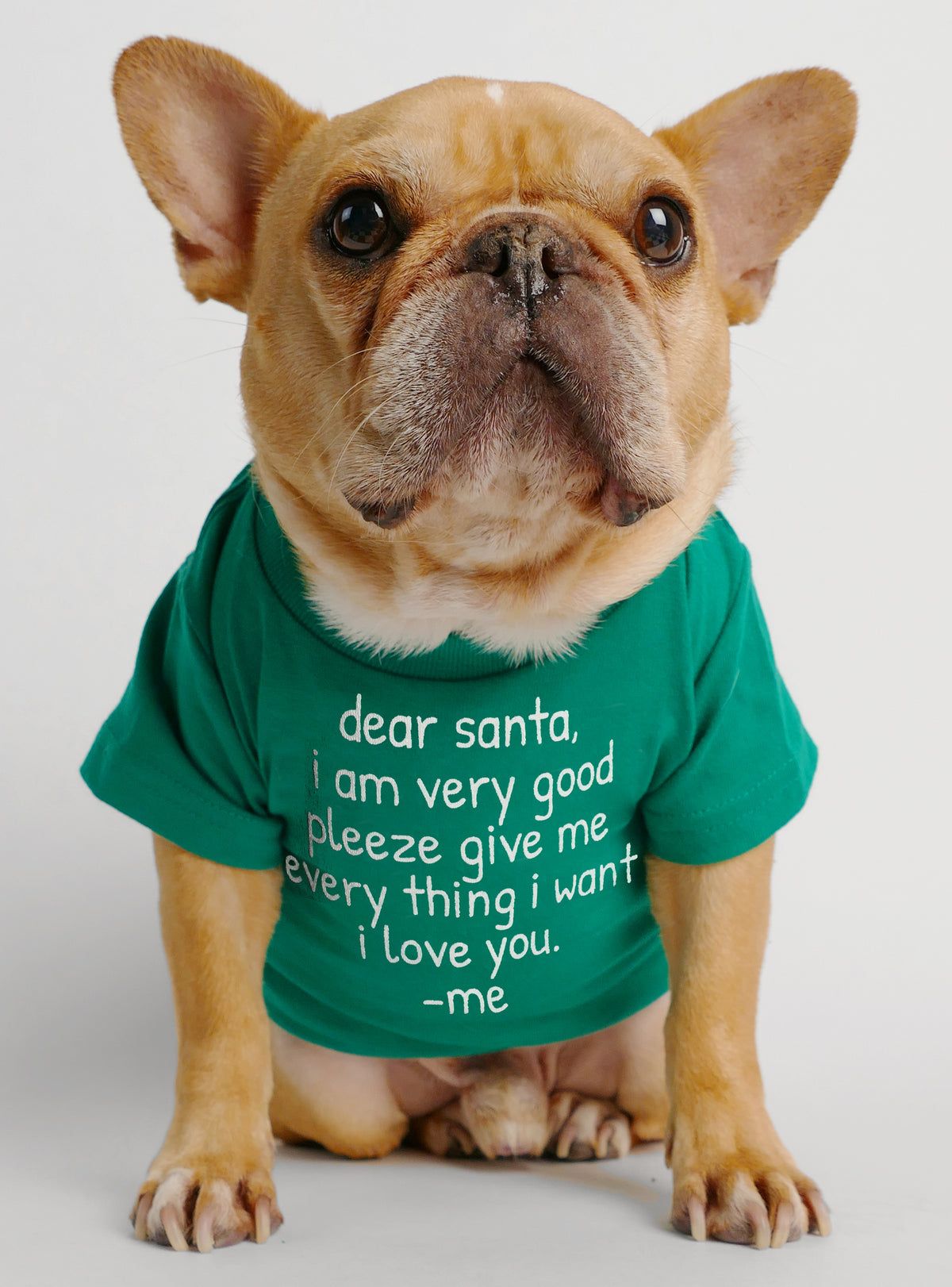 Dear Santa I Am Very Good Dog Tee