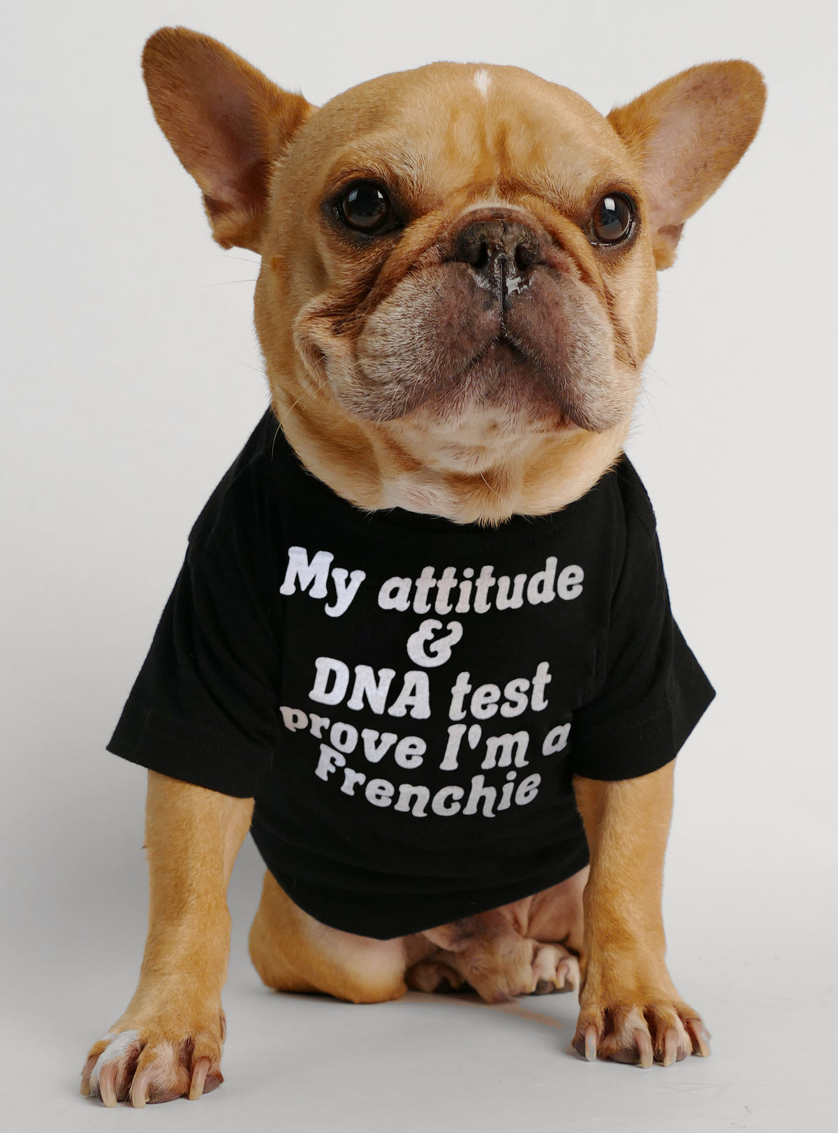 Frenchie DNA Dog Tee