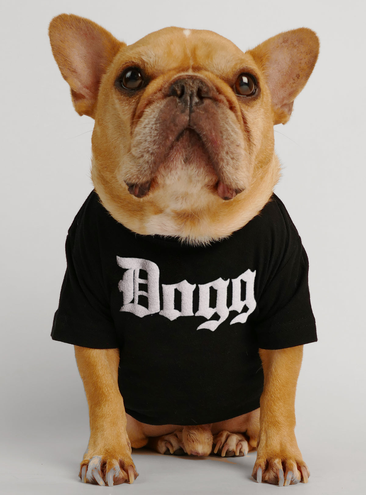 Dogg Dog Tee