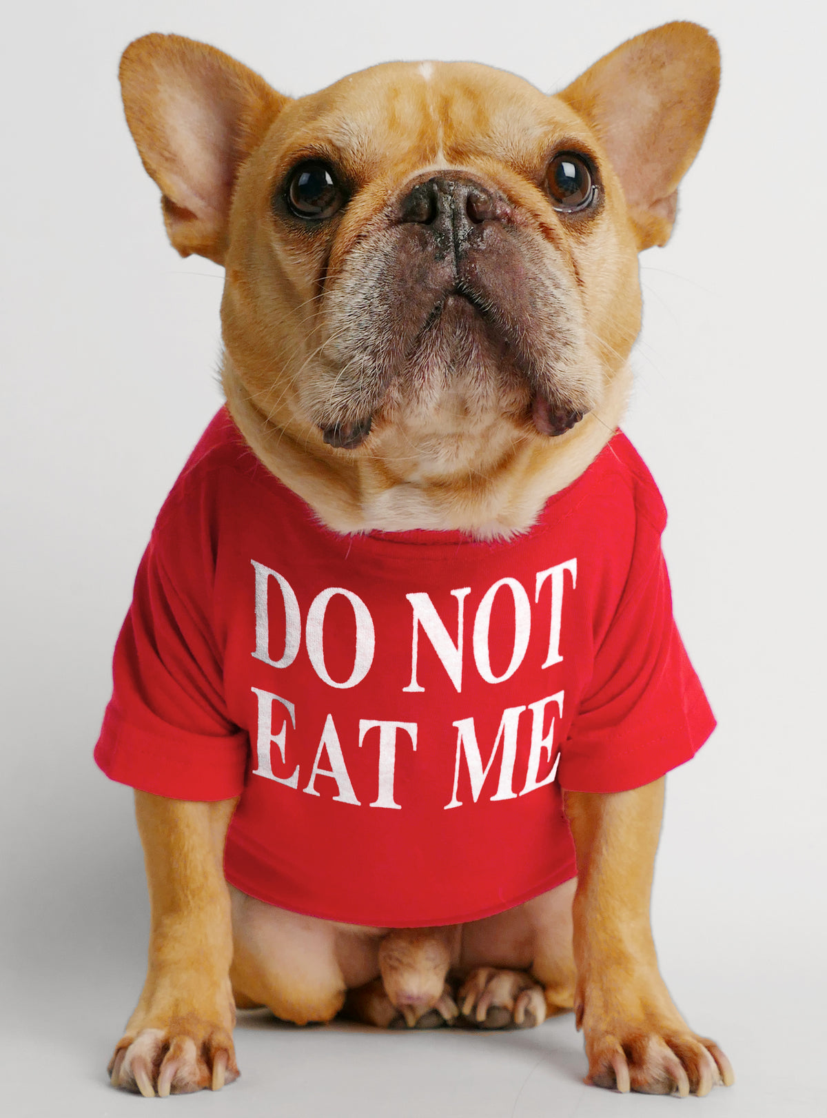 Do Not Eat Me Dog Tee