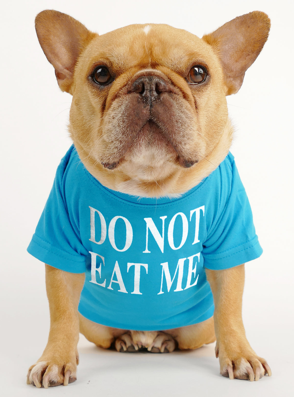 Do Not Eat Me Dog Tee