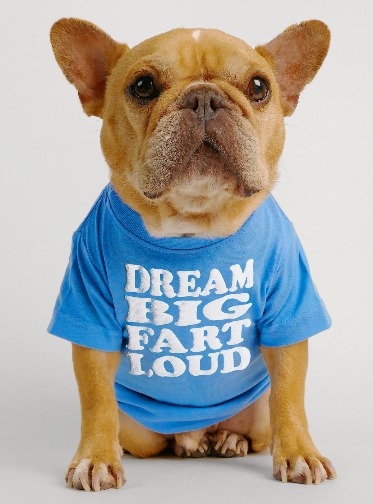 Dream Big Fart Loud Dog Tee