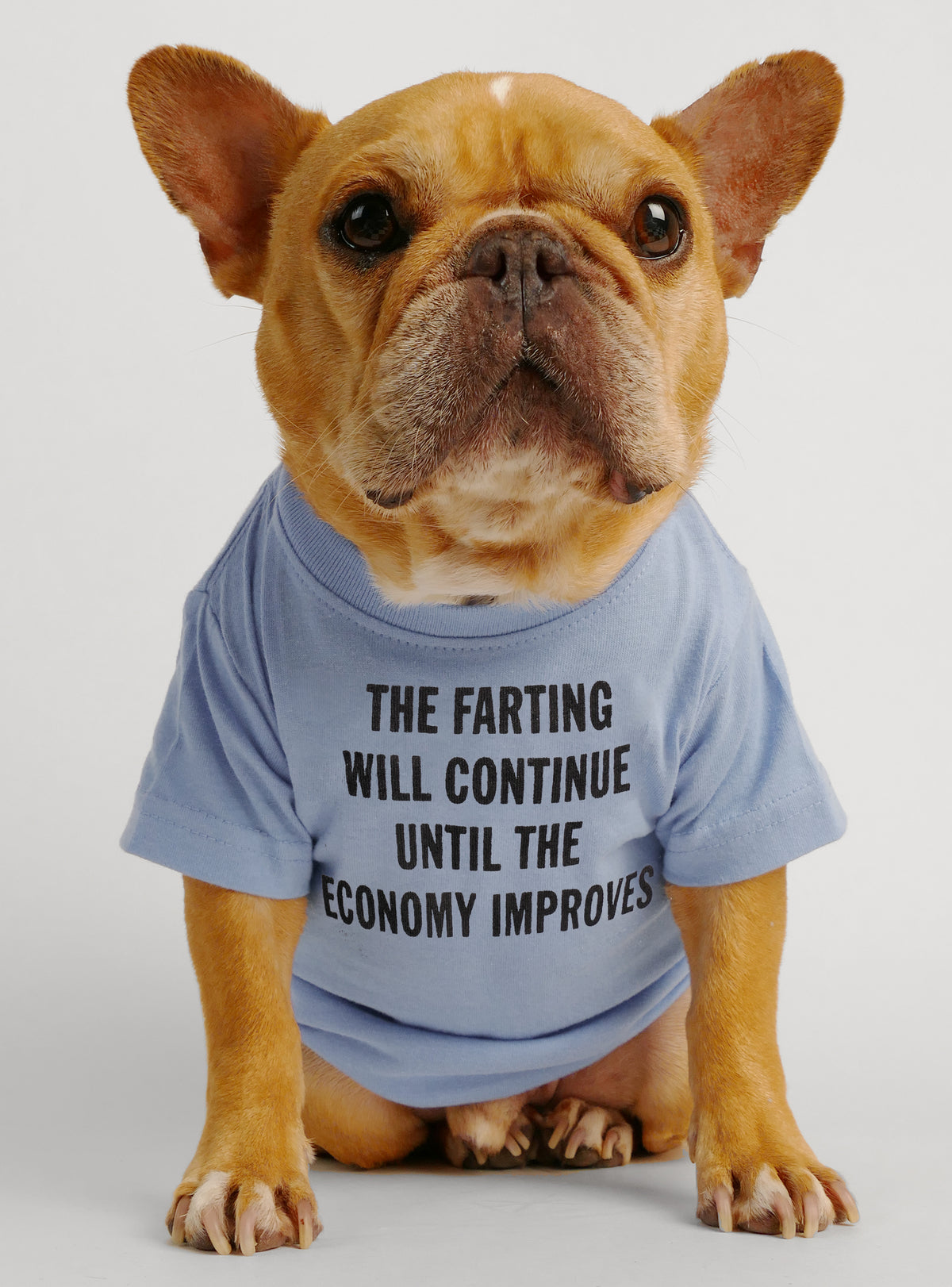 Farting Economy Dog Tee
