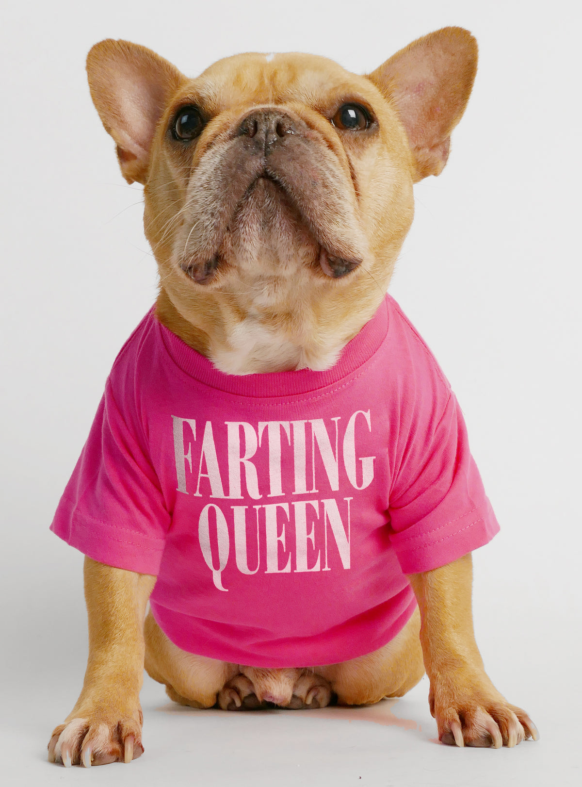 Farting Queen Dog Tee