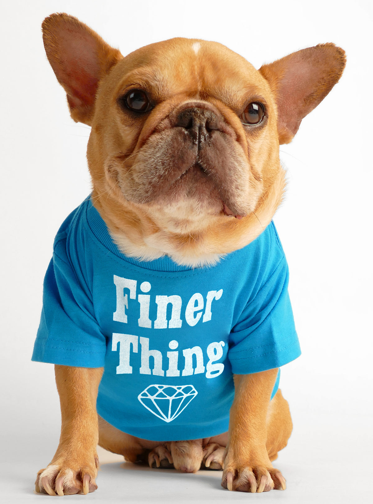 Finer Thing Dog Tee