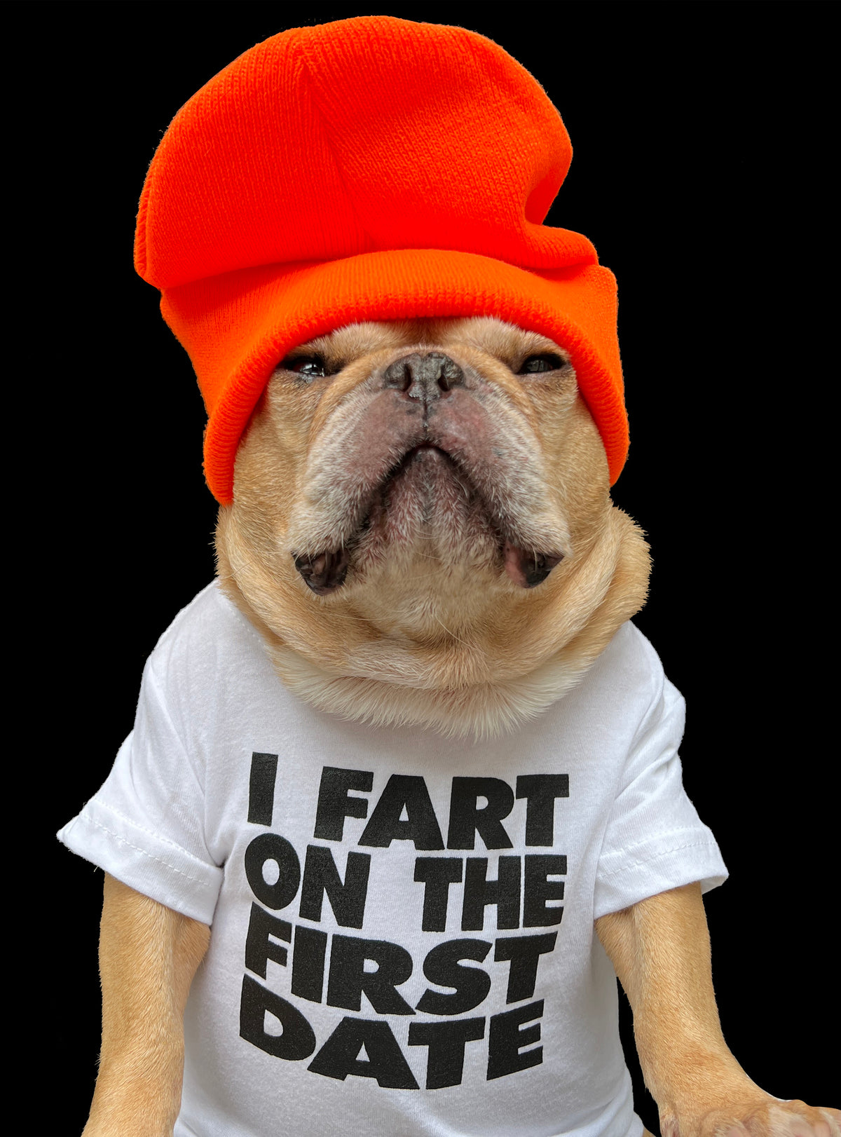 First Date Dog Tee