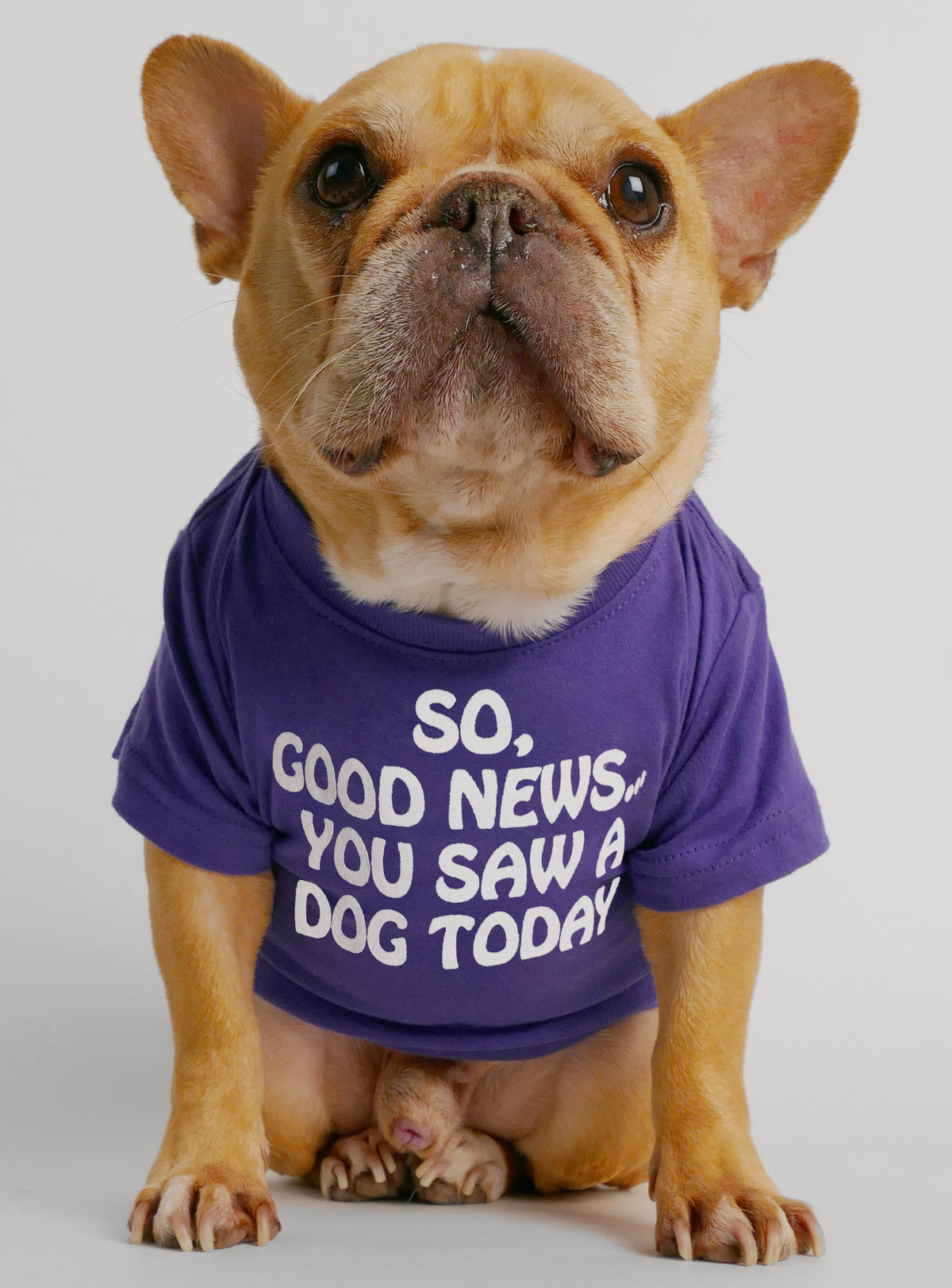 So Good News Dog Tee