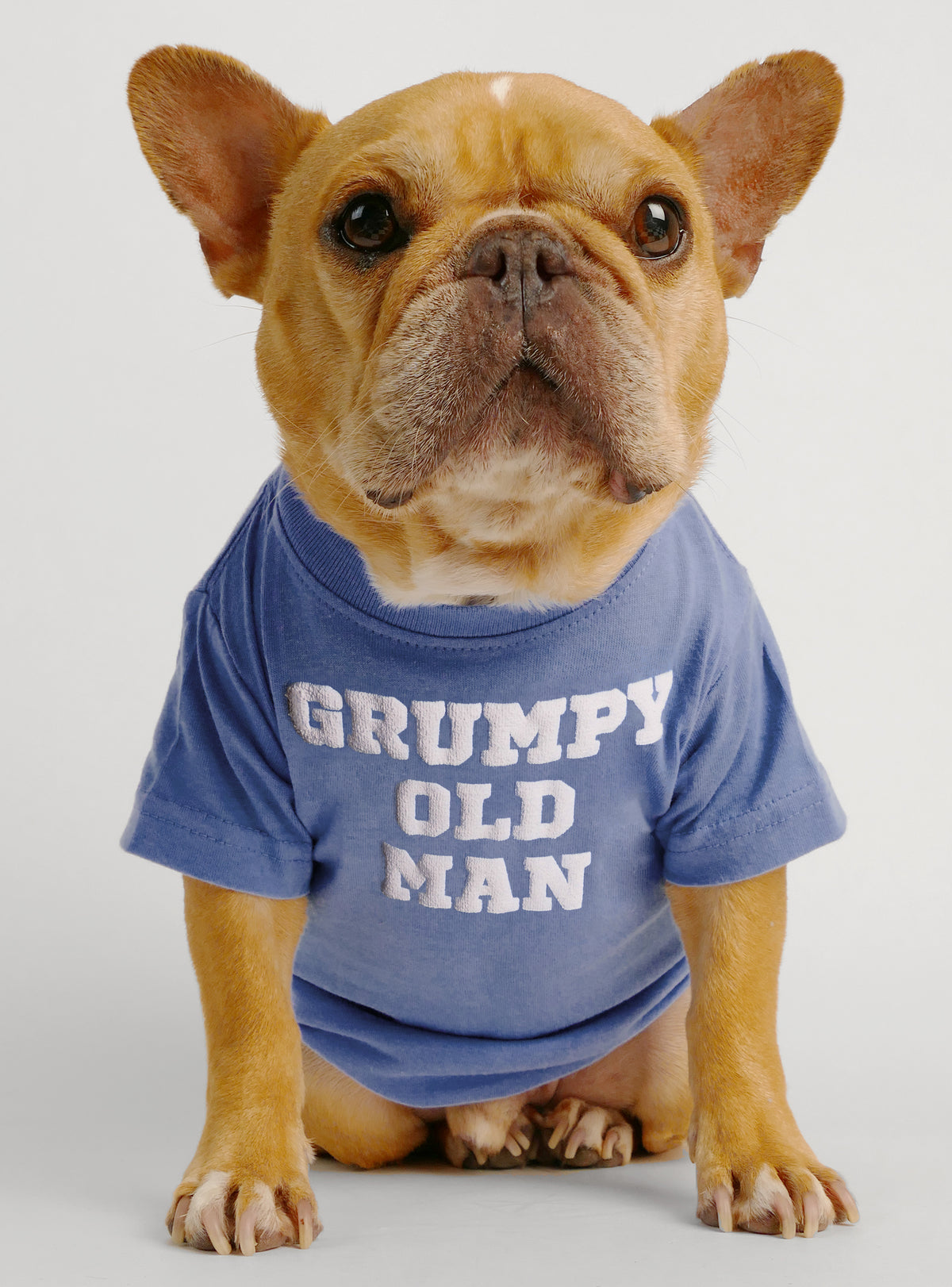 Grumpy Old Man Dog Tee