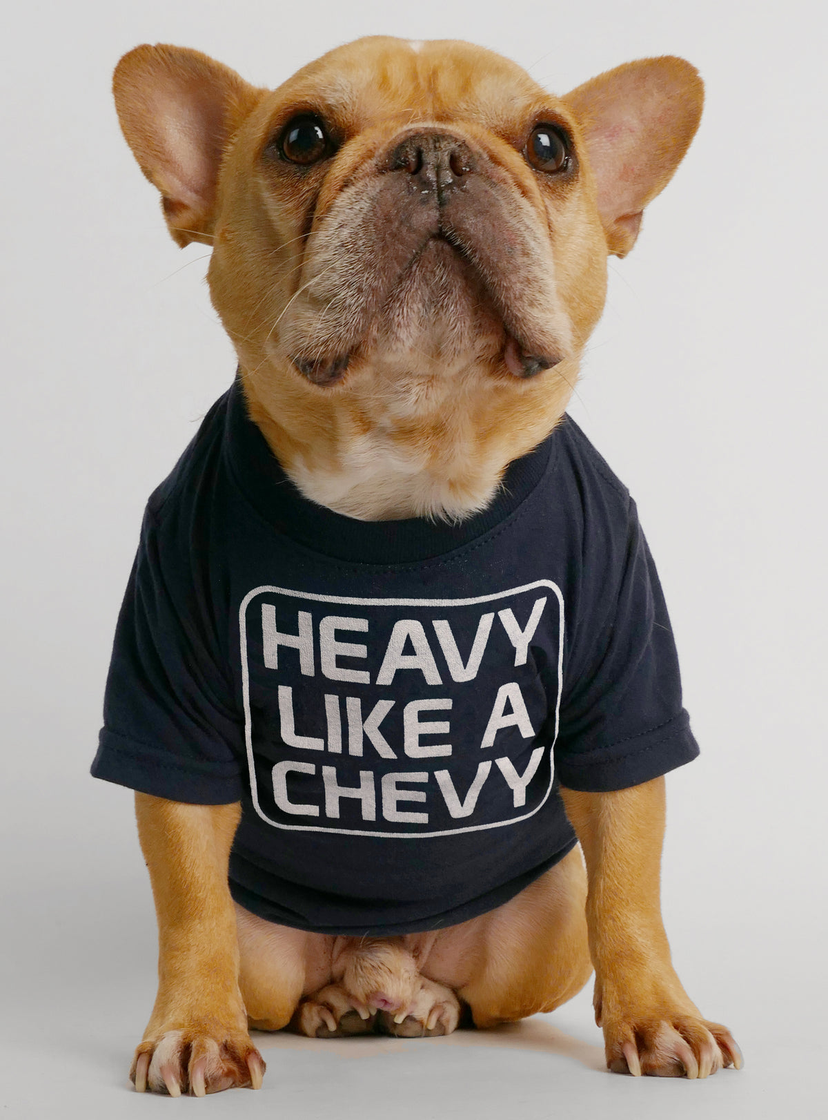 Heavy Like A Chevy Dog Tee