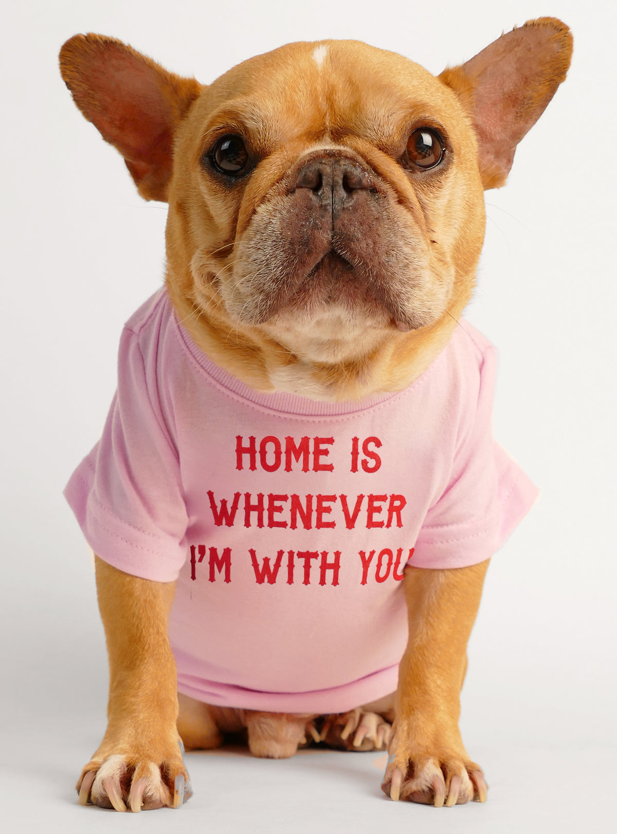 Home Is Whenever I&#39;m With You Dog Tee