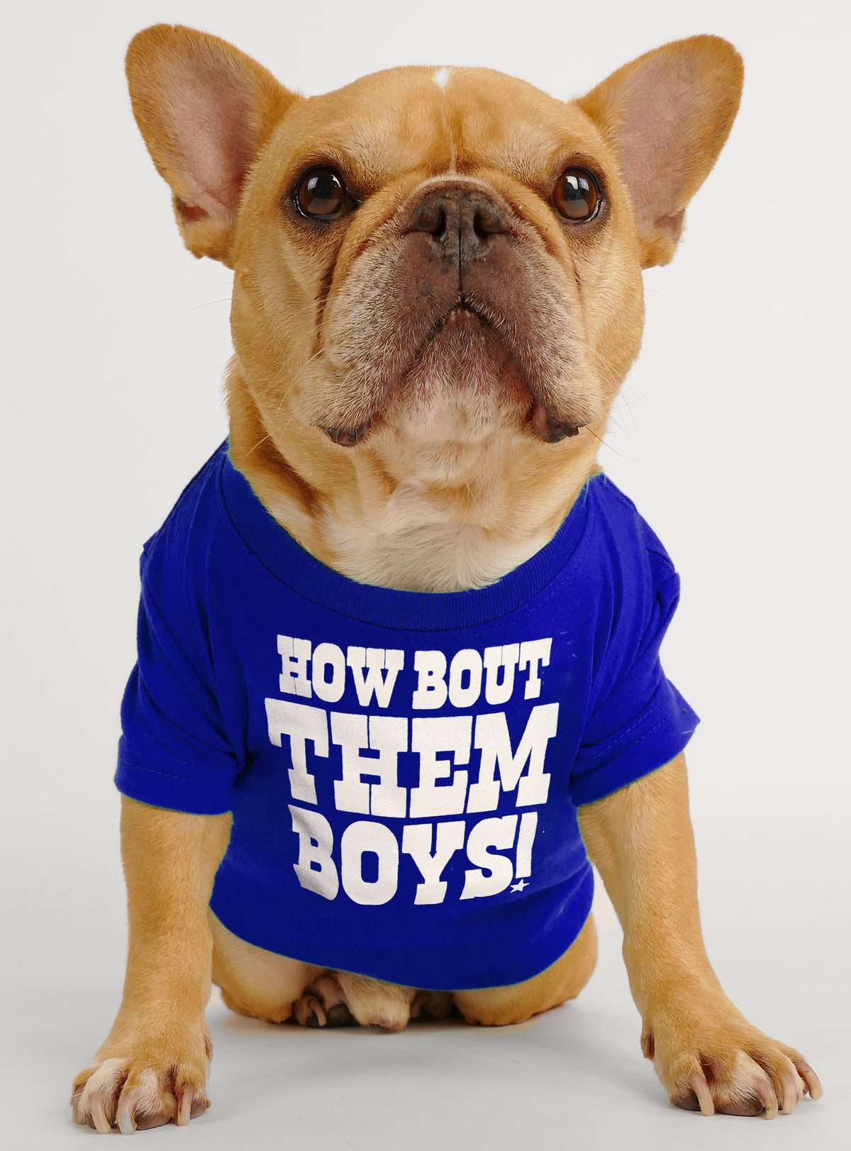 How Bout Them Boys Dog Tee