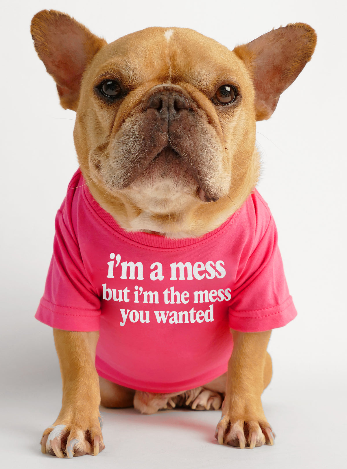 I&#39;m The Mess You Wanted Dog Tee