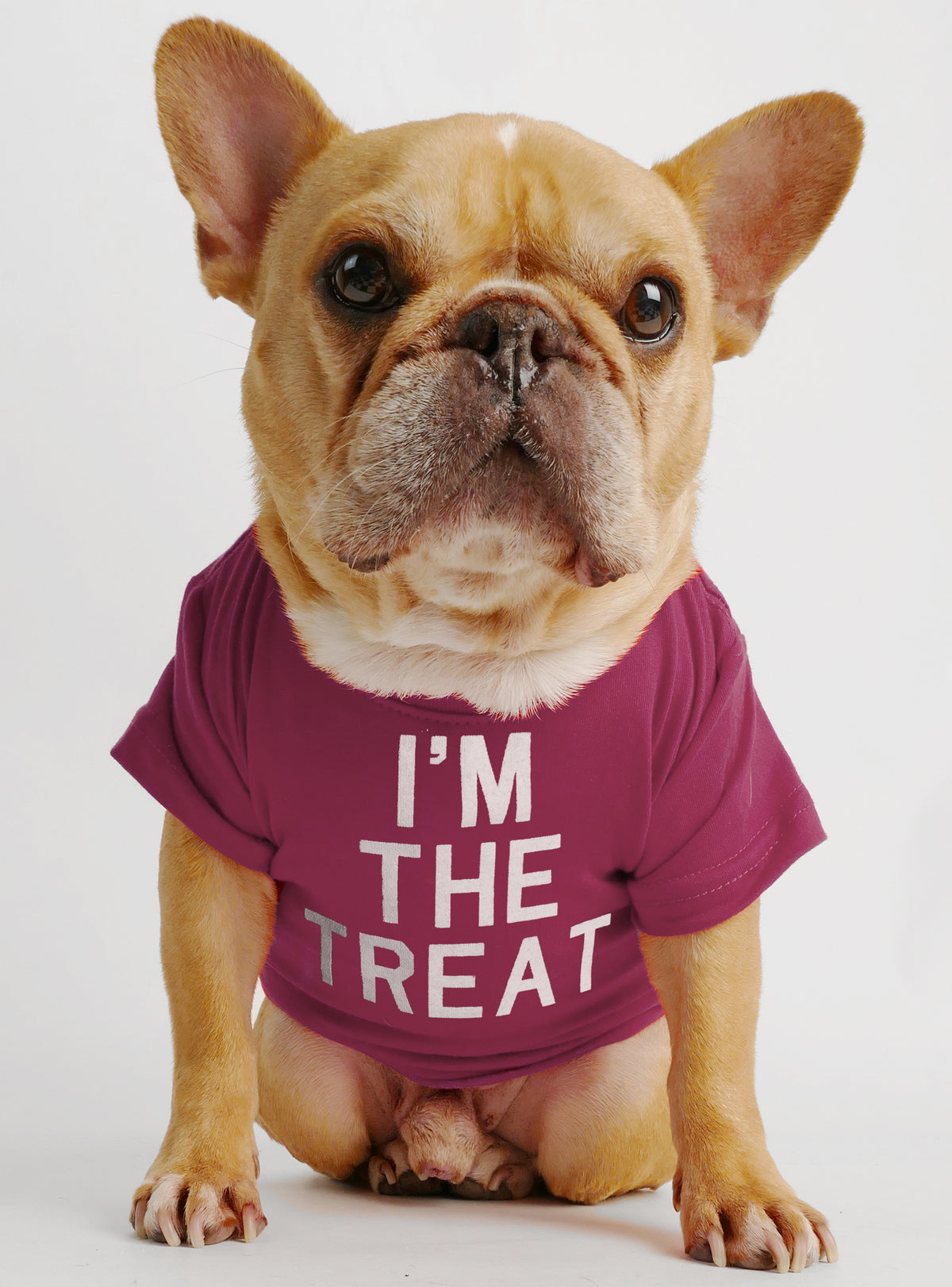 I&#39;m The Treat Dog Tee