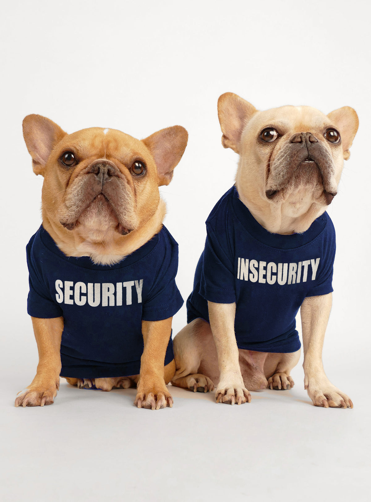 Security + Insecurity (2-Pack) Dog Tee