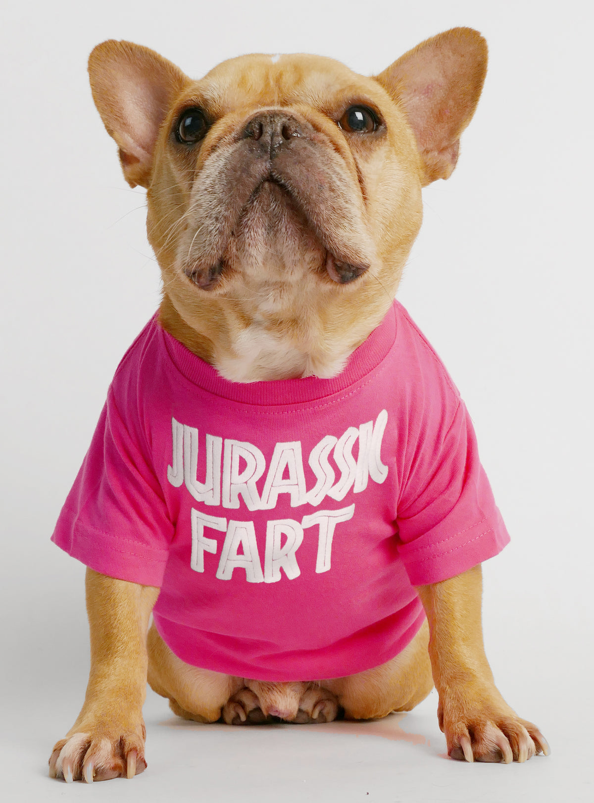 Jurassic Fart Dog Tee