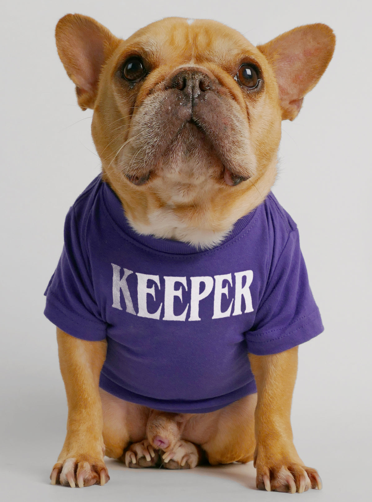 Keeper Dog Tee