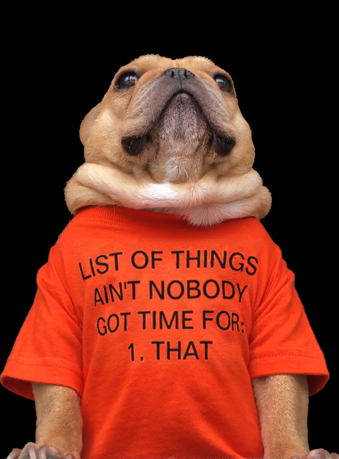 Ain&#39;t Nobody Got Time For That Dog Tee
