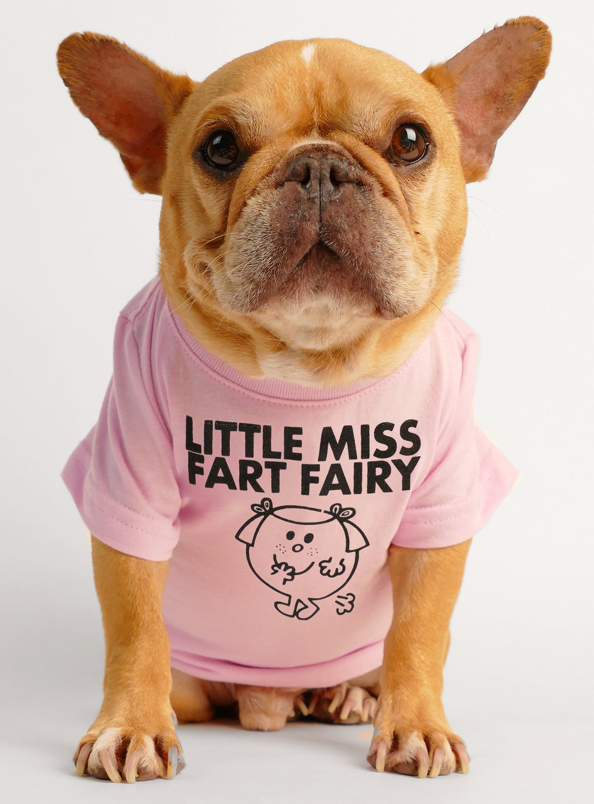 Little Miss Fart Fairy Dog Tee