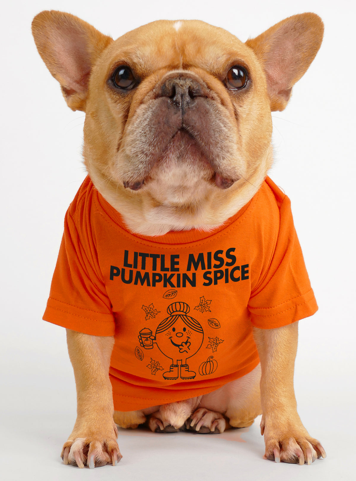 Little Miss Pumpkin Spice Dog Tee