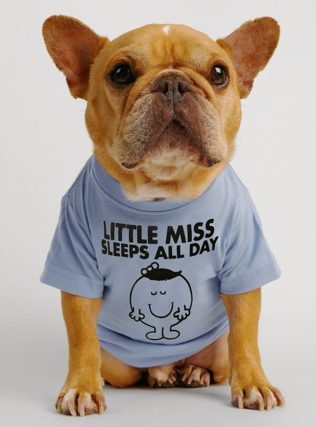Little Miss Sleeps All Day Dog Tee