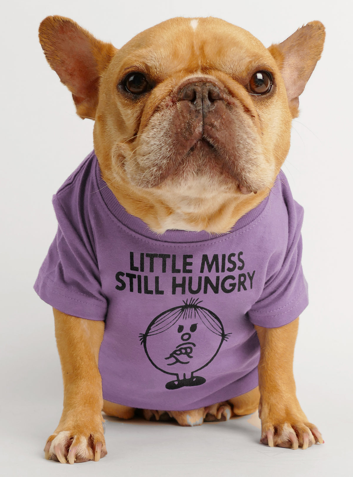 Little Miss Still Hungry Dog Tee