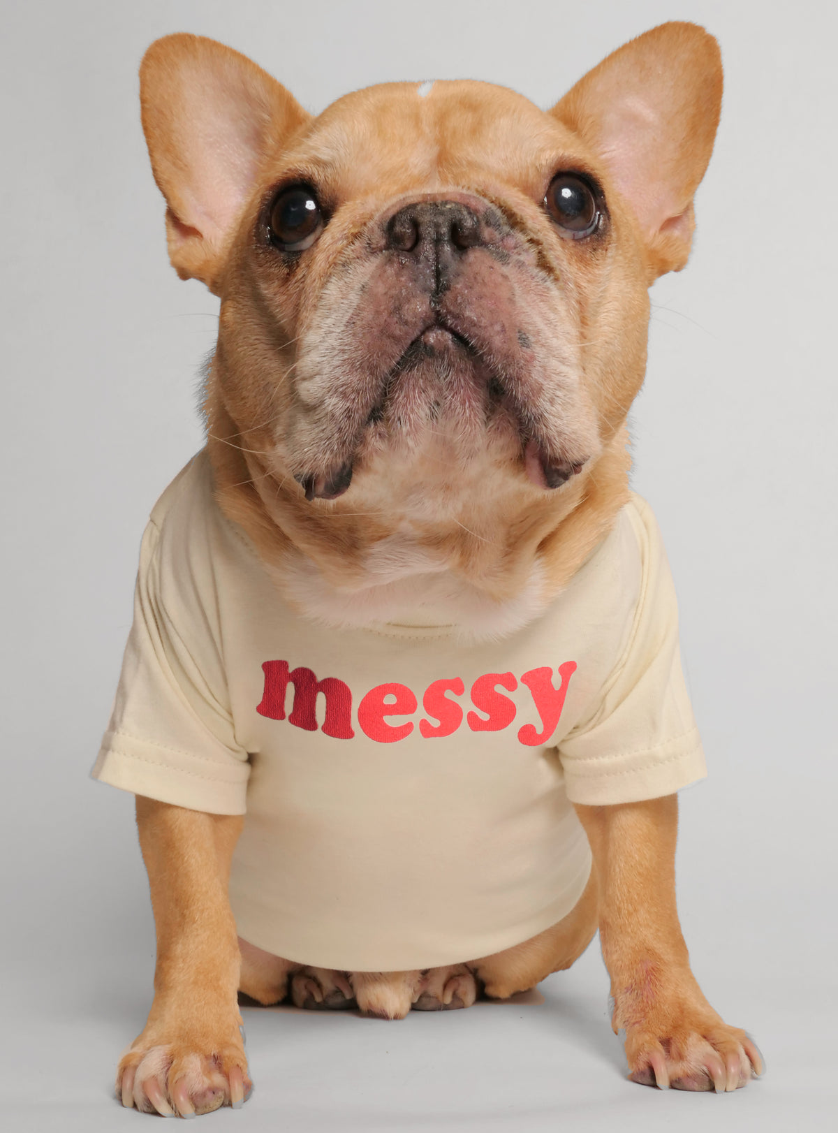 Messy Dog Tee