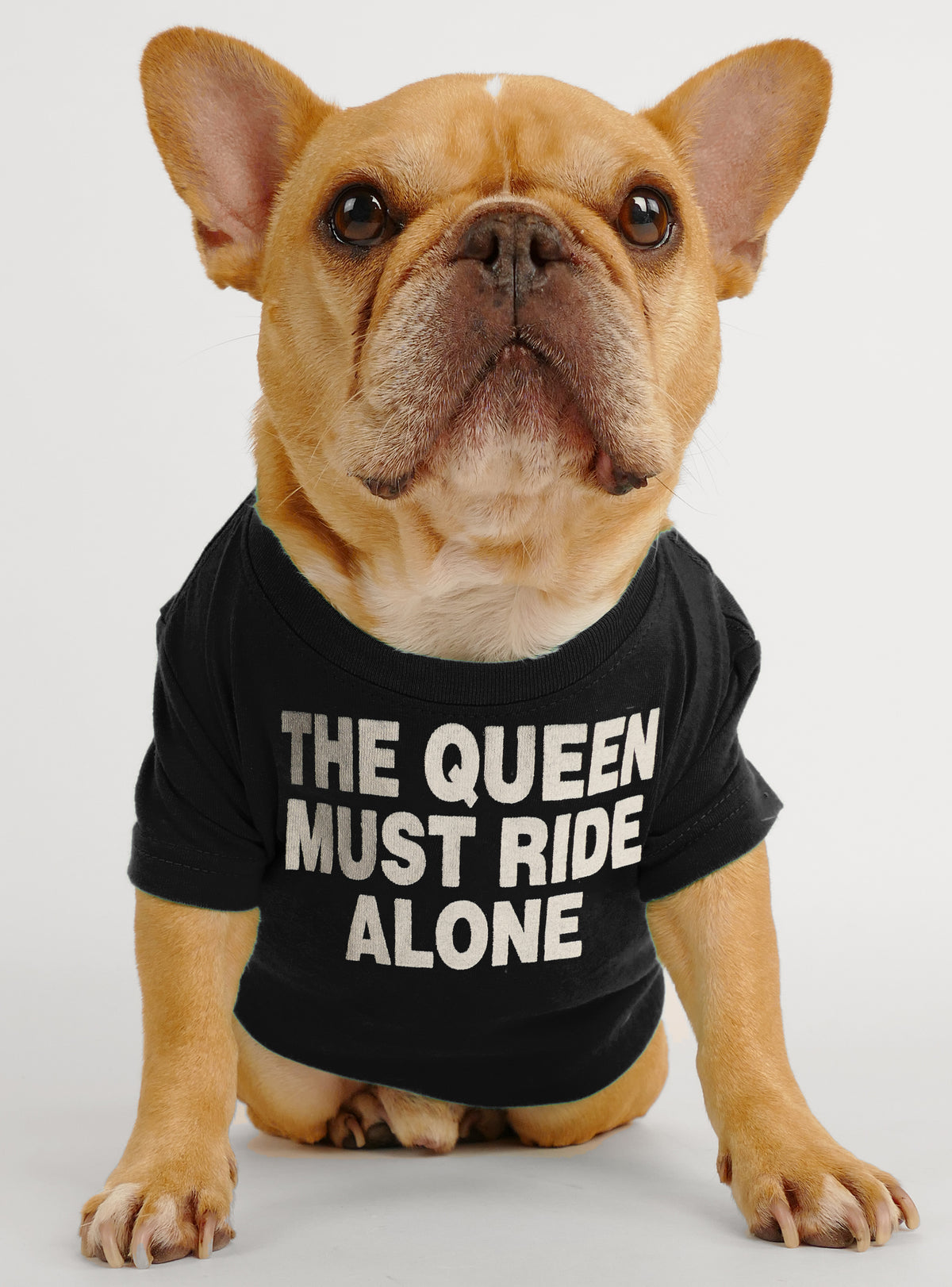 Midsommar Queen Dog Tee