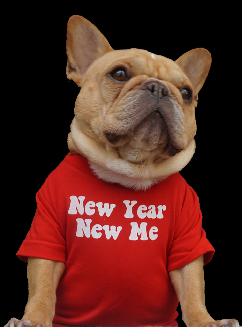 New Year New Me Dog Tee