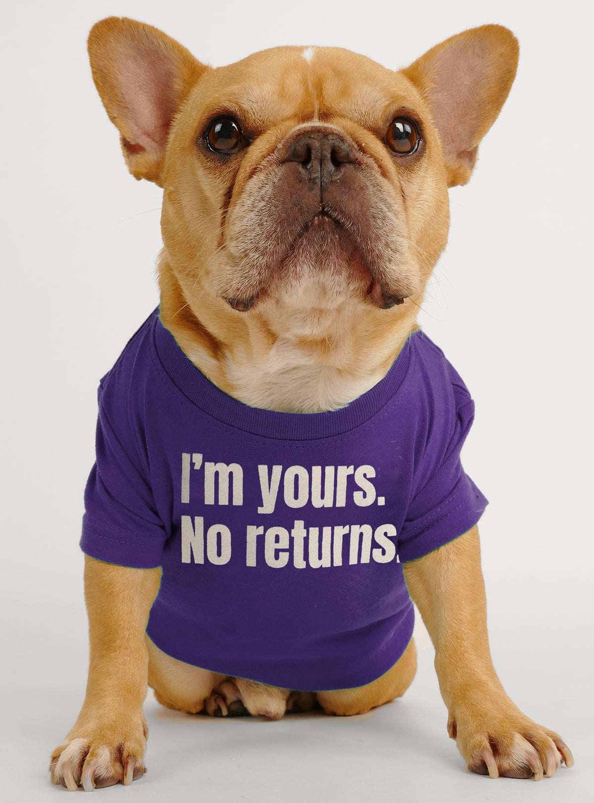 I&#39;m Yours No Returns Dog Tee