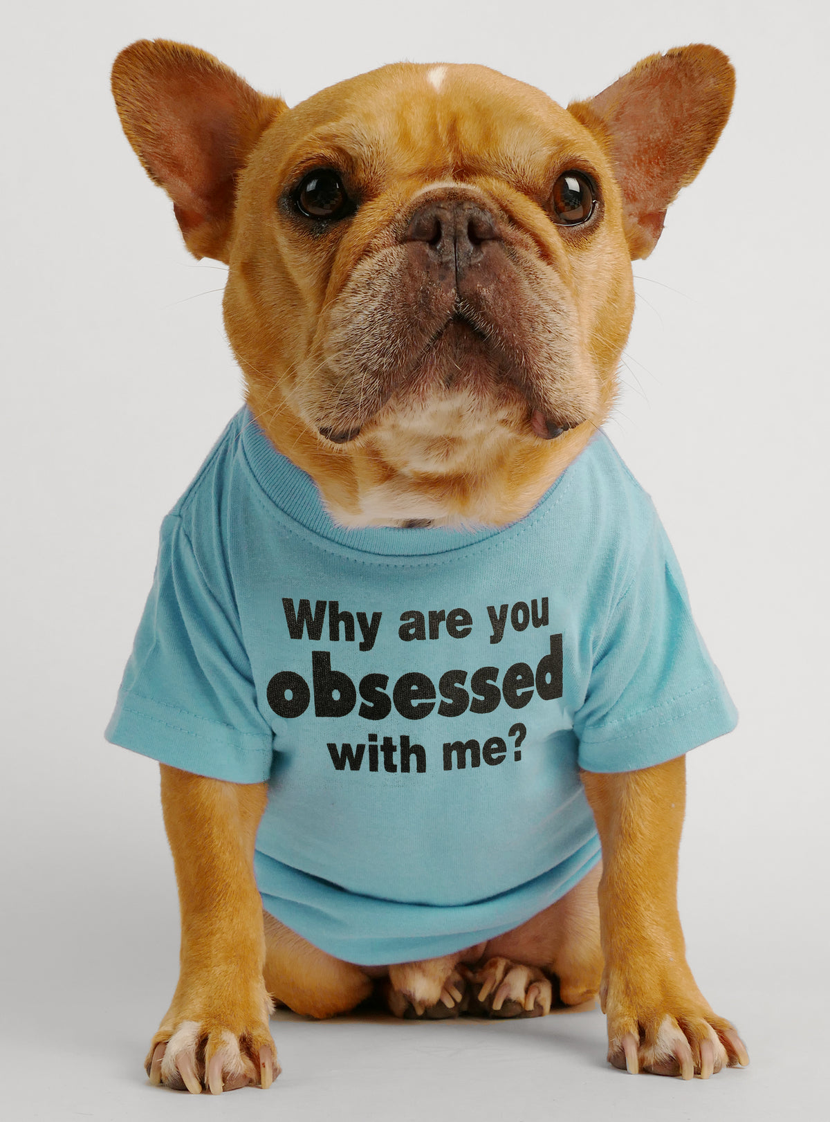 Why Are You Obsessed With Me Dog Tee