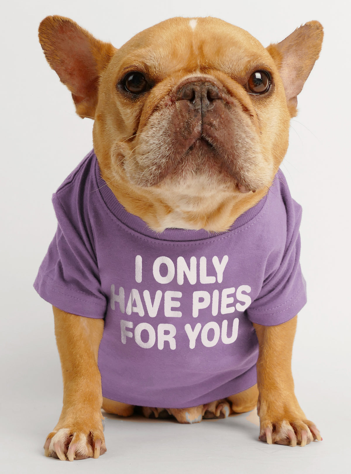 I Only Have Pies For You Dog Tee