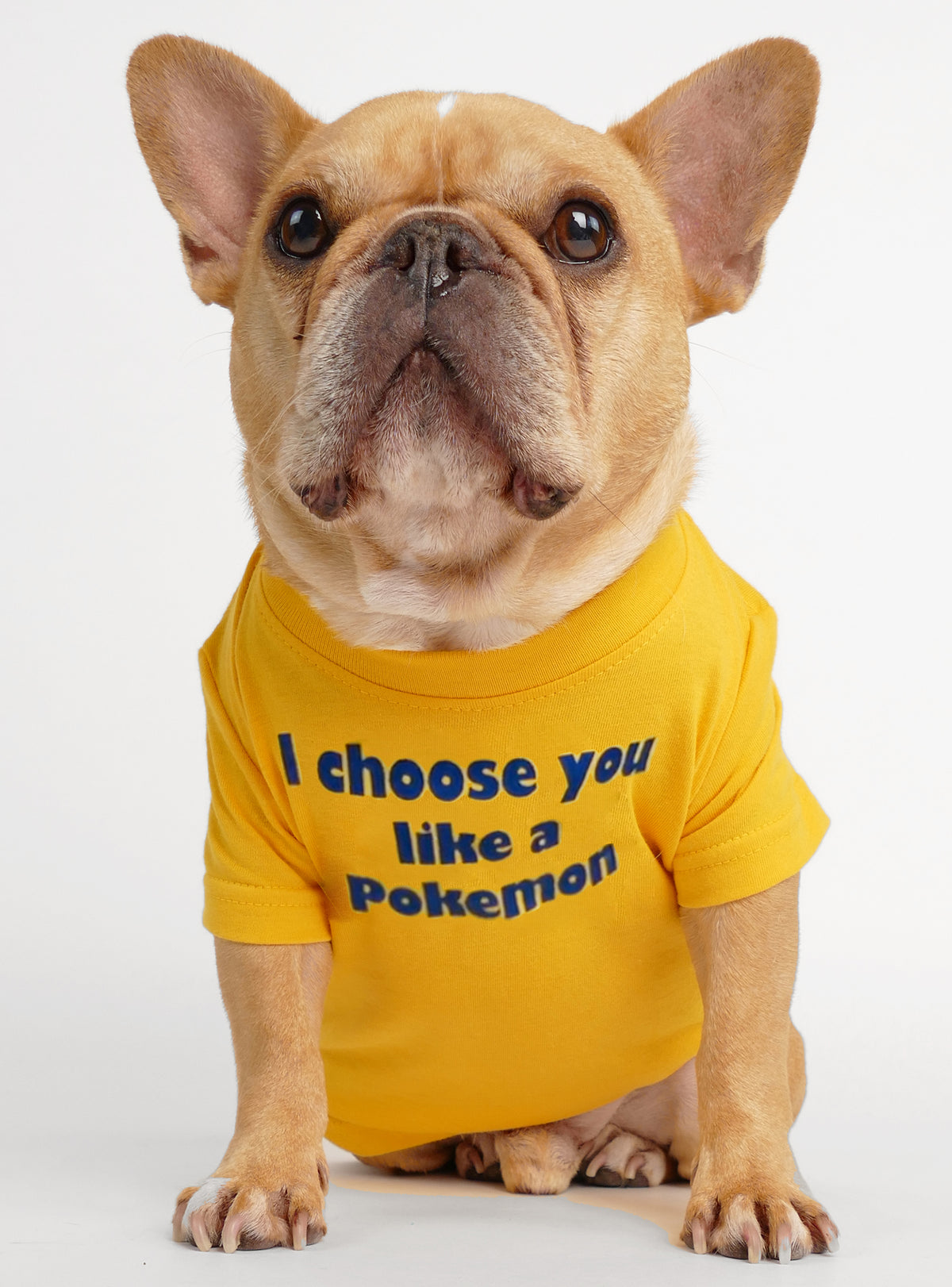 I Choose You Like A Pokemon Dog Tee