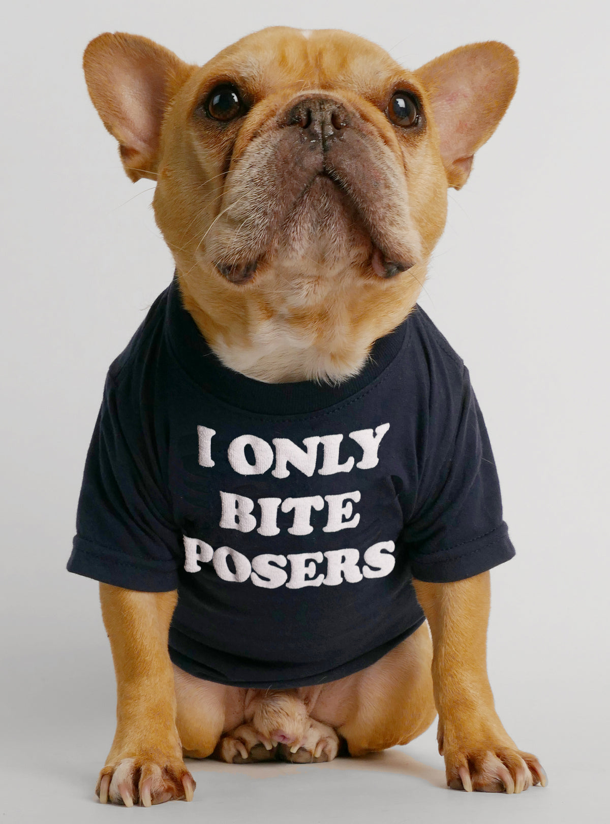 I Only Bite Posers Dog Tee