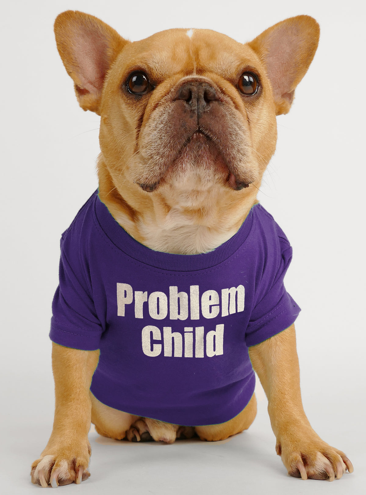 Problem Child Dog Tee