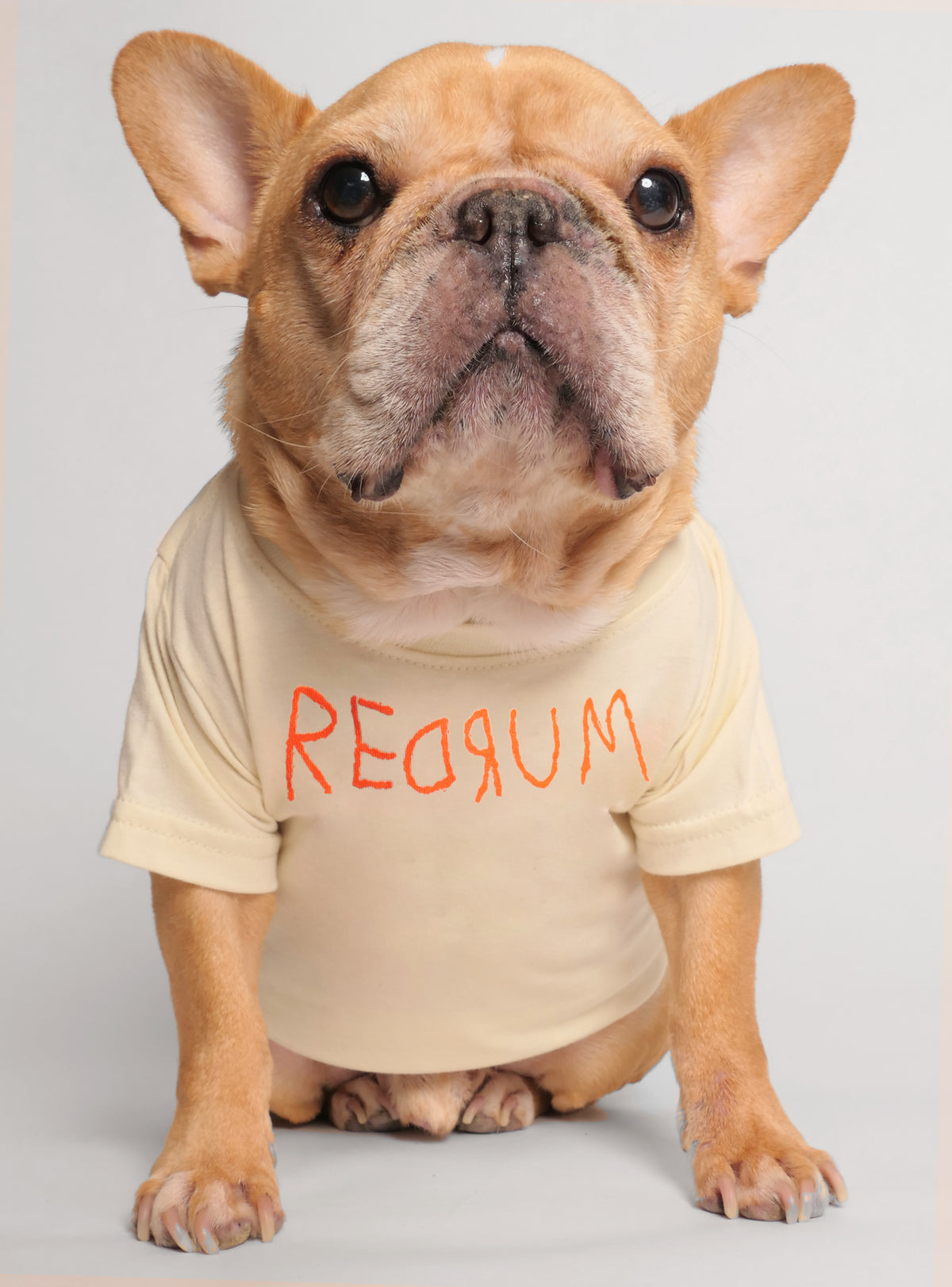 Redrum Dog Tee