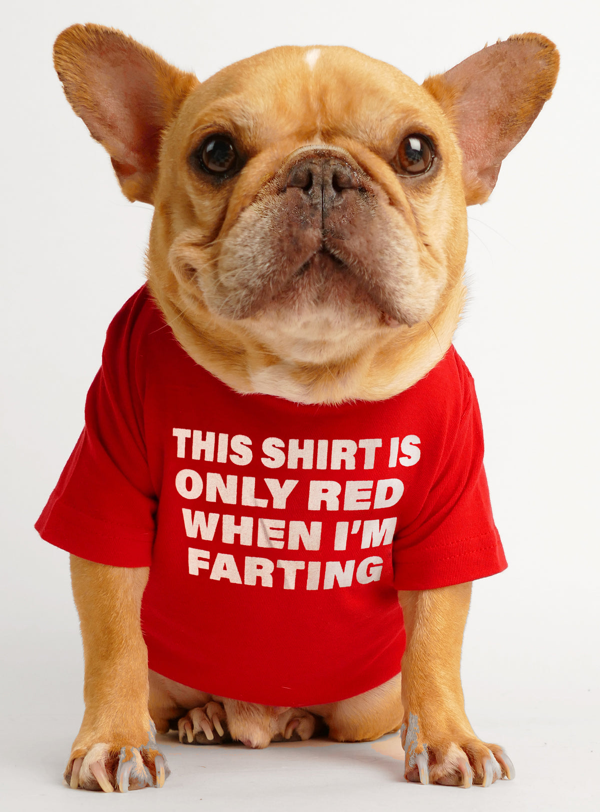 This Shirt Is Red Dog Tee