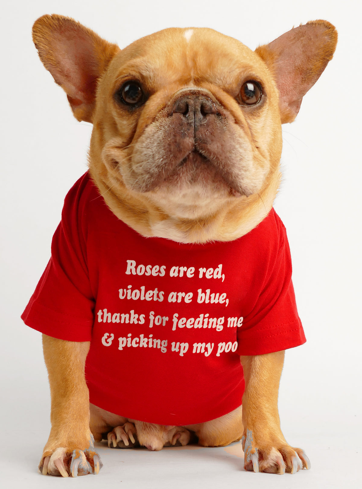 Violets Are Blue Poo Dog Tee