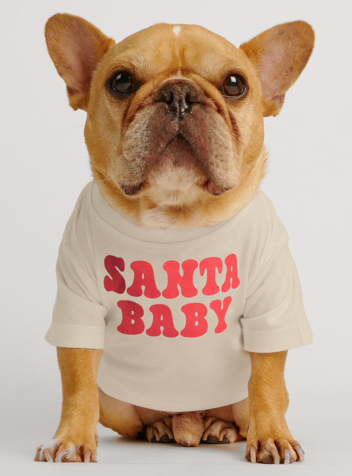 Santa Baby Dog Tee