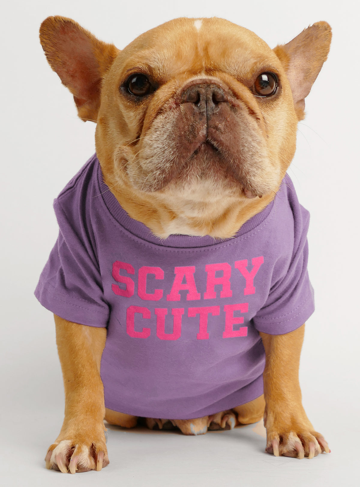 Scary Cute Dog Tee